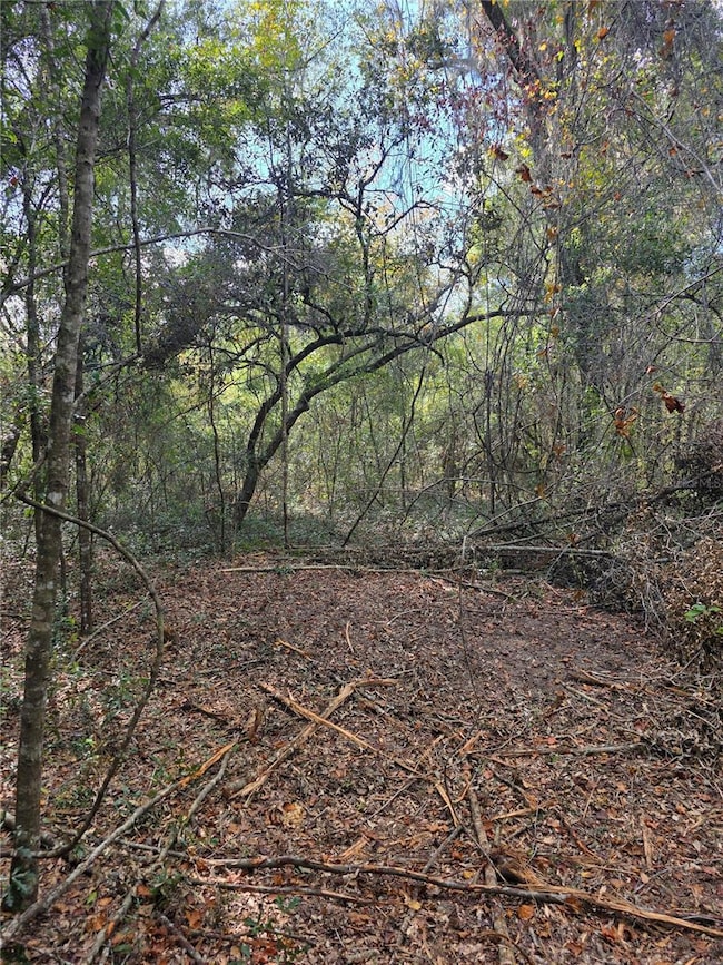TBD NE 111th Ave, Archer, FL 32618 - photo 6