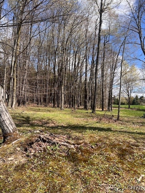 3284 Walden Oaks Blvd, Munsons Corners, NY 13045 - photo 7