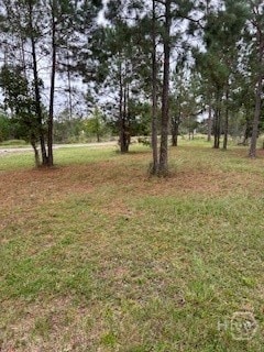 1179 River Plantation Place NE, Townsend, GA 31331 - photo 5