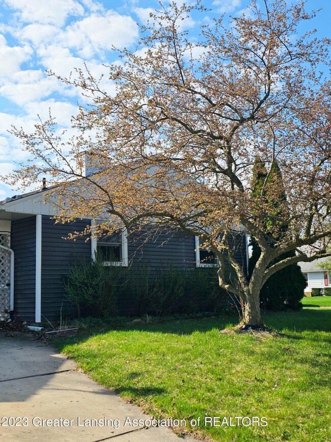 920 Andrus Ave, Lansing, MI 48917 - photo 3