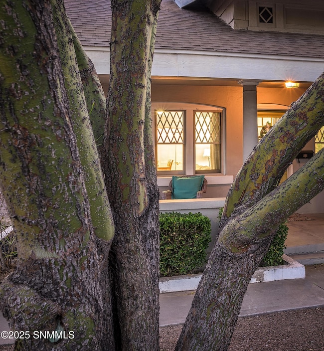 1137 N Alameda Blvd, Las Cruces, NM 88005 - photo 5