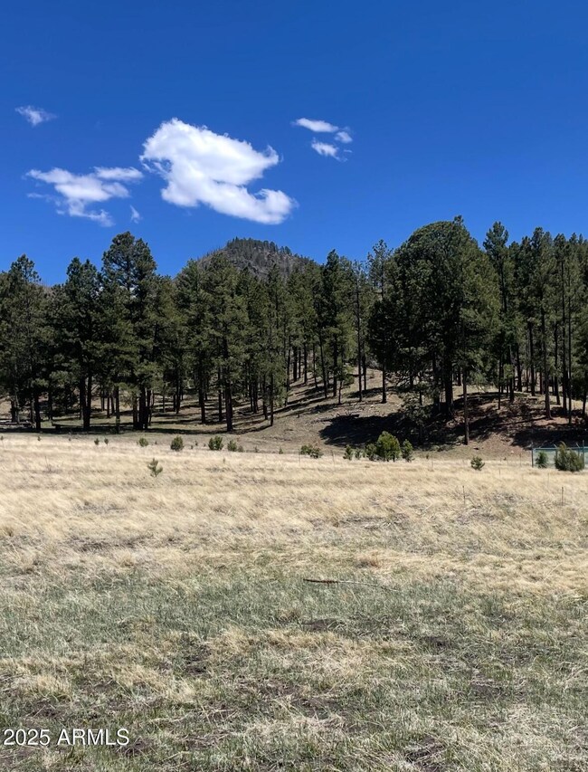 -- Country Road 2276 -- unit 2, Nutrioso, AZ 85932 - photo 4