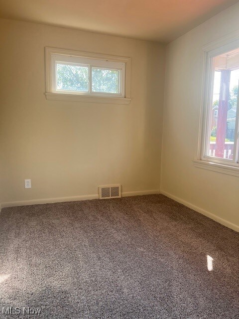 39 W Lewis St, Struthers, OH 44471 - photo 6