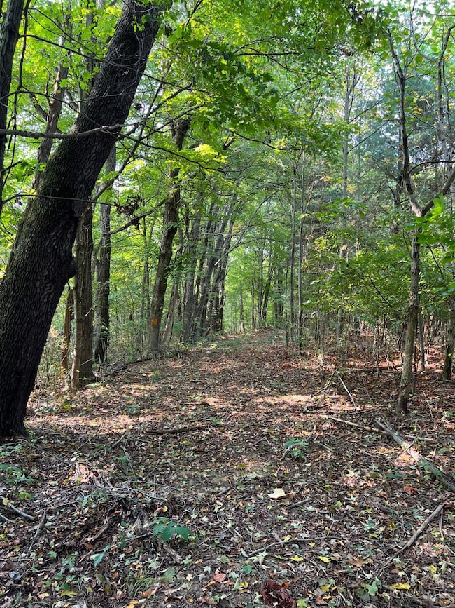 0 Mcguire Rd unit 1855109, Chillicothe, OH 45601 - photo 3