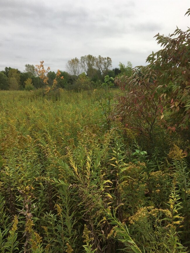 16 N 281st W, Valparaiso, IN 46385 - photo 2