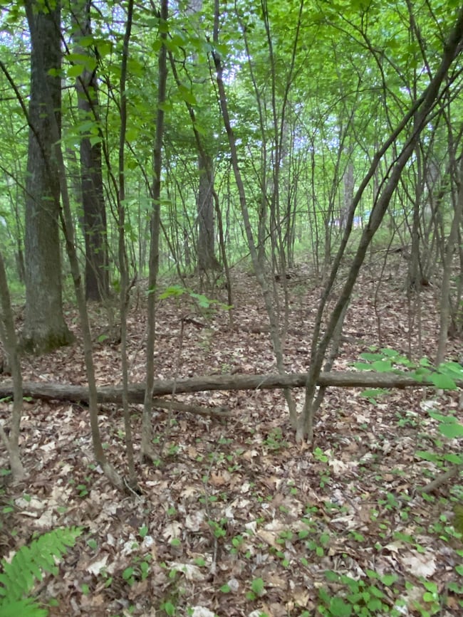 0 Brimfield Rd, Monson, MA 01057 - photo 2