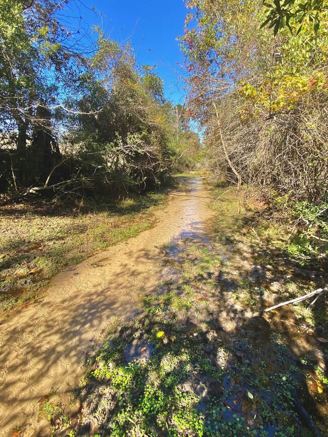 511 Private Road 6142, Grapeland, TX 75844 - photo 5