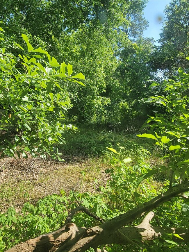 00 Old Highway 59, Lufkin, TX 75904 - photo 3