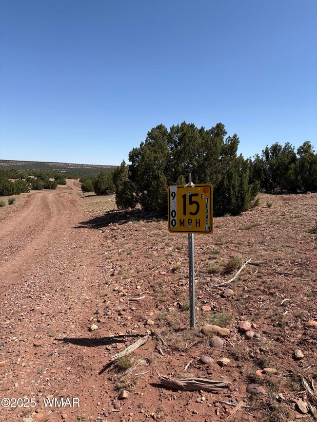 Road 9300