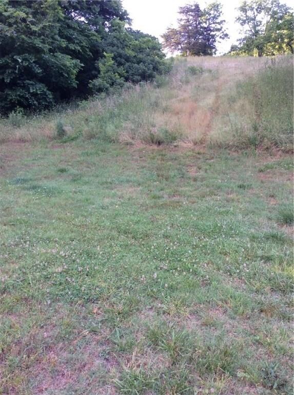 4260 Bear Hollow Rd, Jane, MO 64856 - photo 4