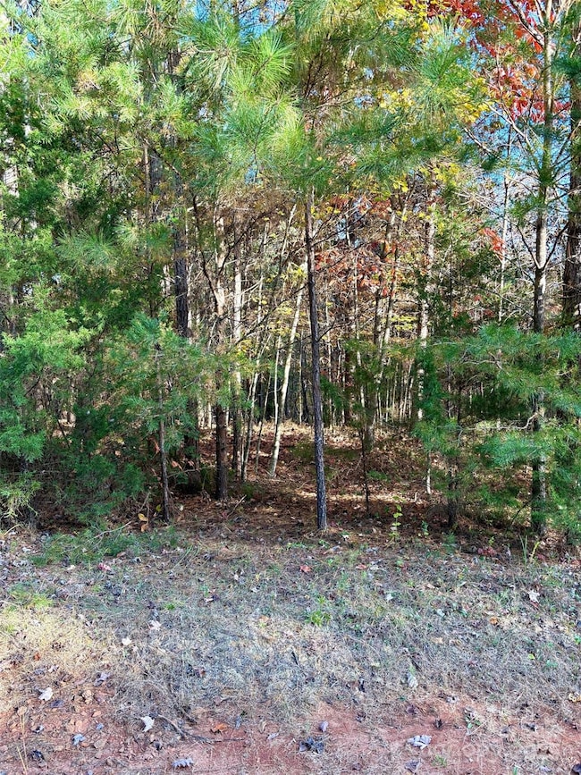 0 Cross Creek Dr unit 261 CAR4231323, Rutherfordton, NC 28139 - photo 5