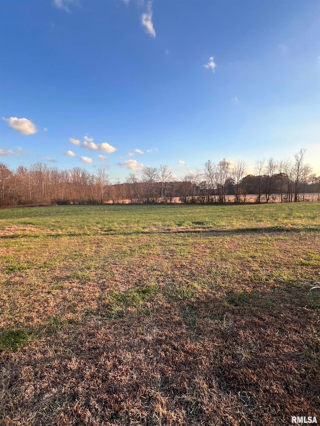 860 N Lick Creek Rd, Buncombe, IL 62912 - photo 6