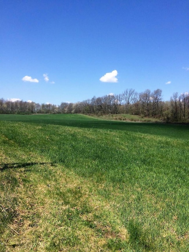 BEHLING Rd 5