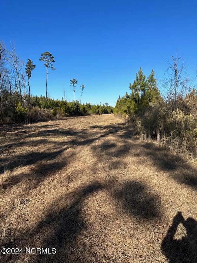 Pineridge10