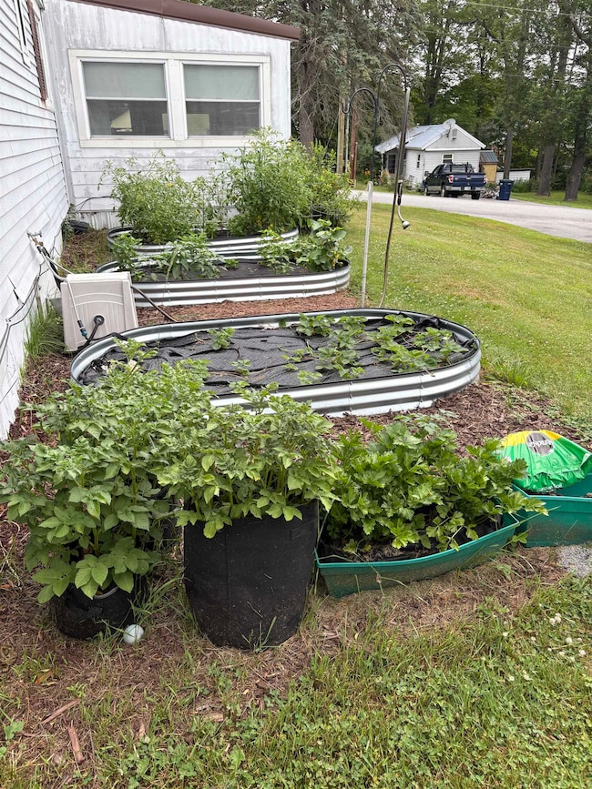 garden area