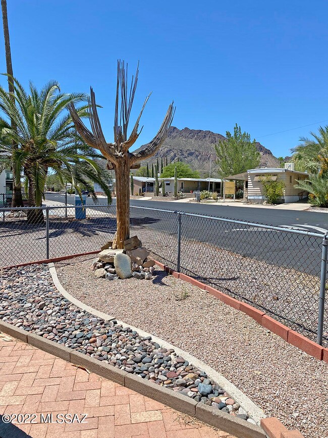 Front Yard 2