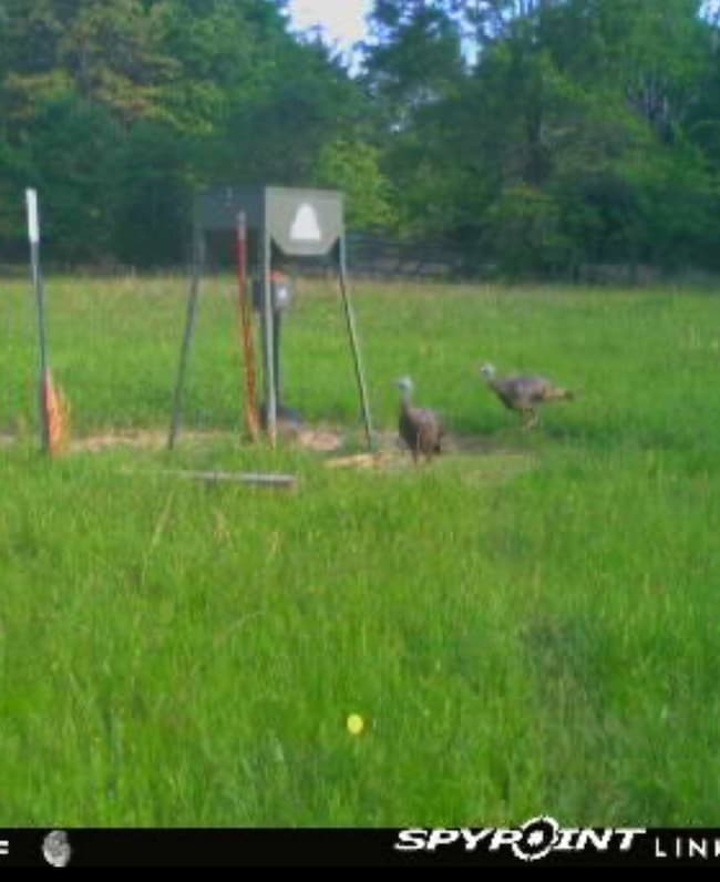 TBD County Road 1103, Athens, TX 75751 - photo 5