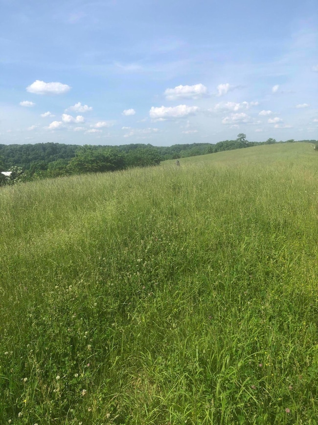 6 S Chowning Ln, Bloomfield, KY 40008 - photo 2