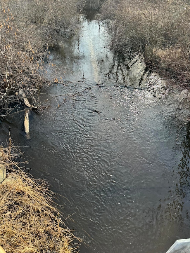 14551 Algoma Ave NE, Cedar Springs, MI 49319 - photo 3