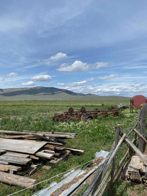 Pasture