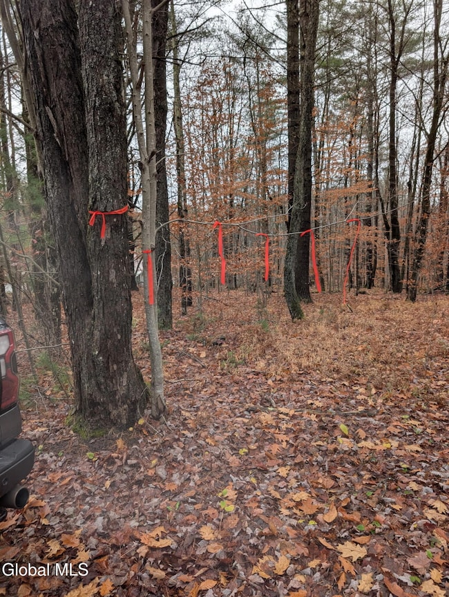 L18.100 North Rd, Benson, NY 12134 - photo 2