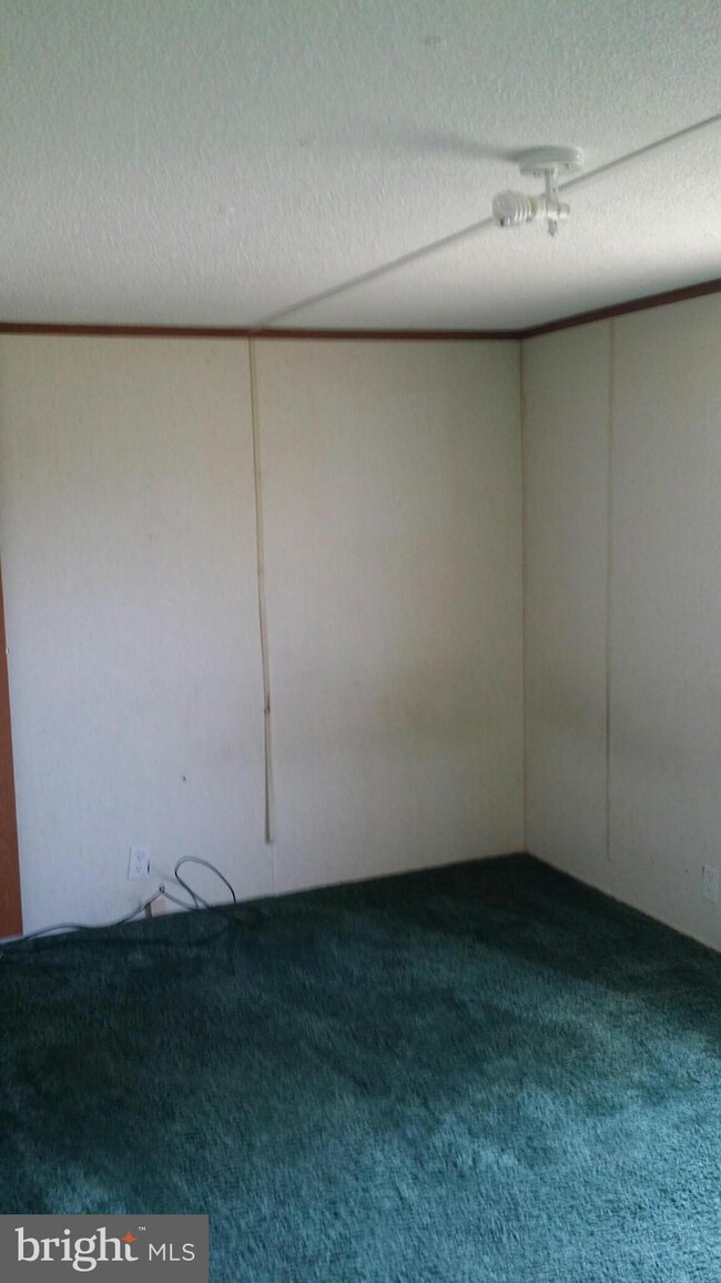 27347 Pitts Ln, Ruther Glen, VA 22546 - photo 4