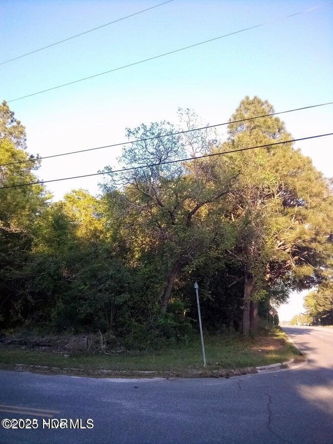 Tbd Hwy 74 E, Hamlet, NC 28345 - photo 4