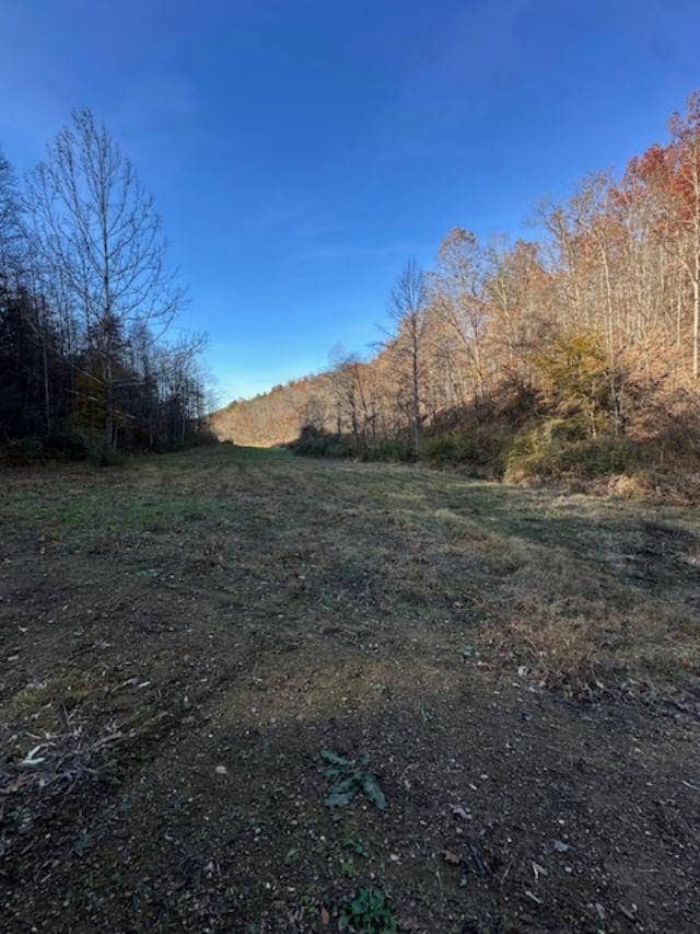 500 Beechmont Rd, Sandy Hook, KY 41171 - photo 2