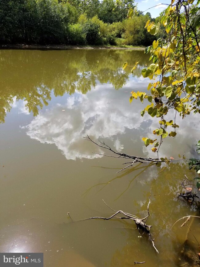 0 Daniels Point Dr unit 1000142603, Orange, VA 22960 - photo 4