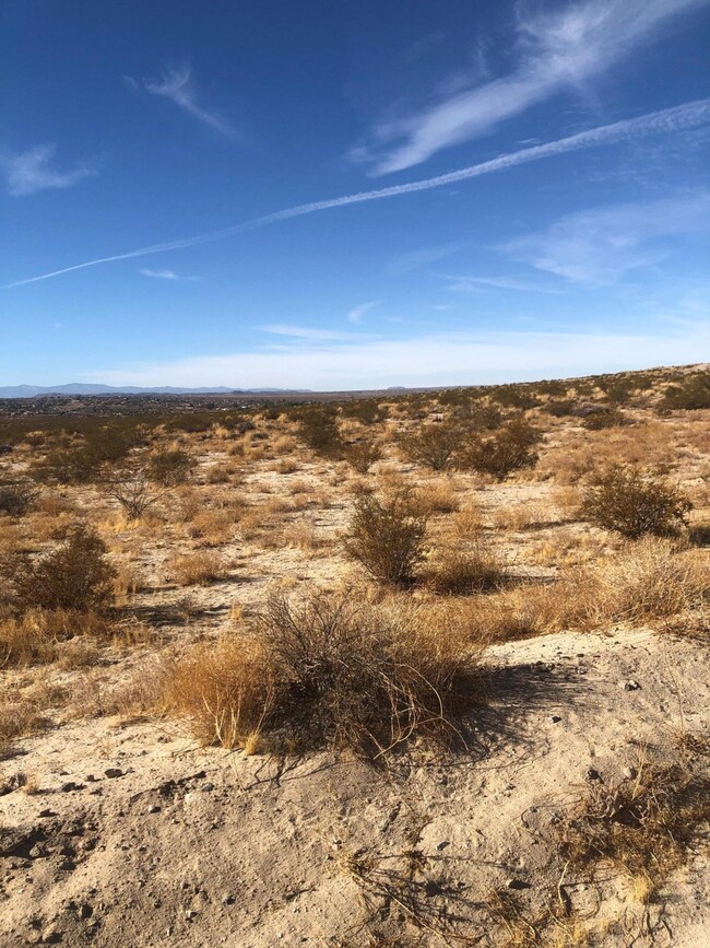 Pic 3
