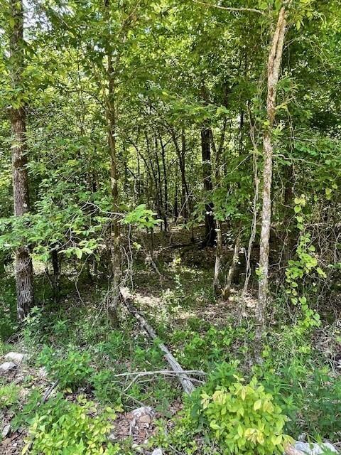 706 Timber Creek Trails South XI, Broken Bow, OK 74728 - photo 4