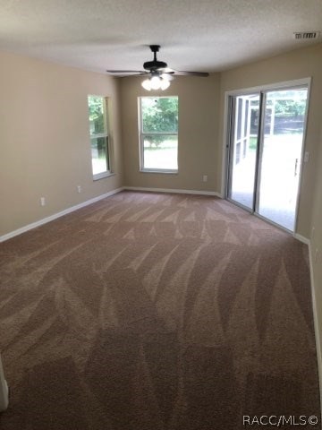 1119 E Mckinley St, Hernando, FL 34442 - photo 5