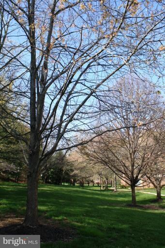 22 Rainflower Path unit 203, Sparks Glencoe, MD 21152 - photo 5