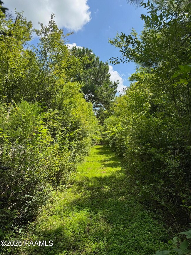 Tbd Frozard Rd unit 5, Arnaudville, LA 70512 - photo 4