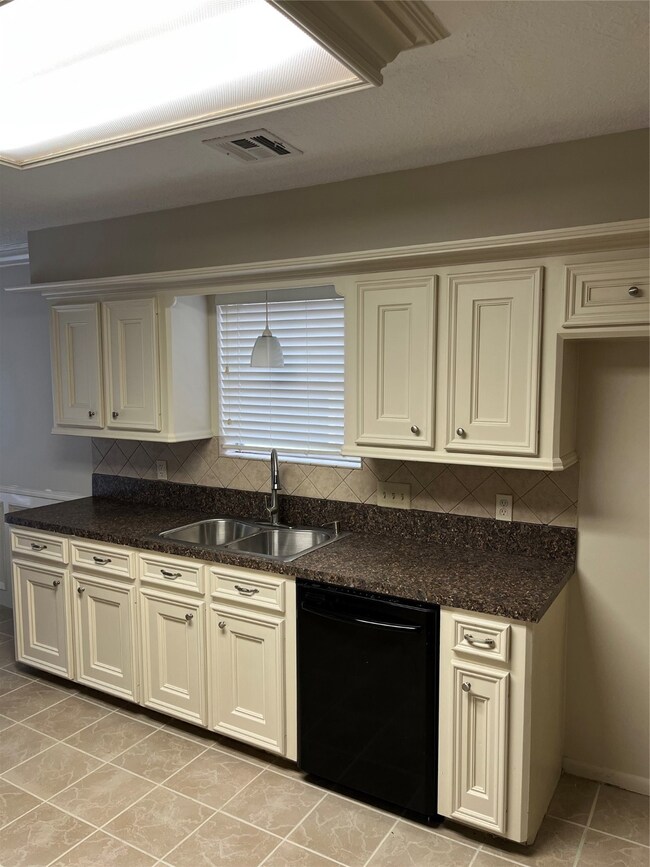Kitchen - Dishwasher and Sink