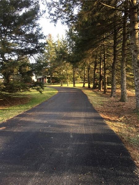Tree-lined paved driveway