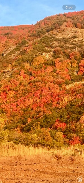 75 S Grandison Ct E unit 69-R, Fruit Heights, UT 84037 - photo 5