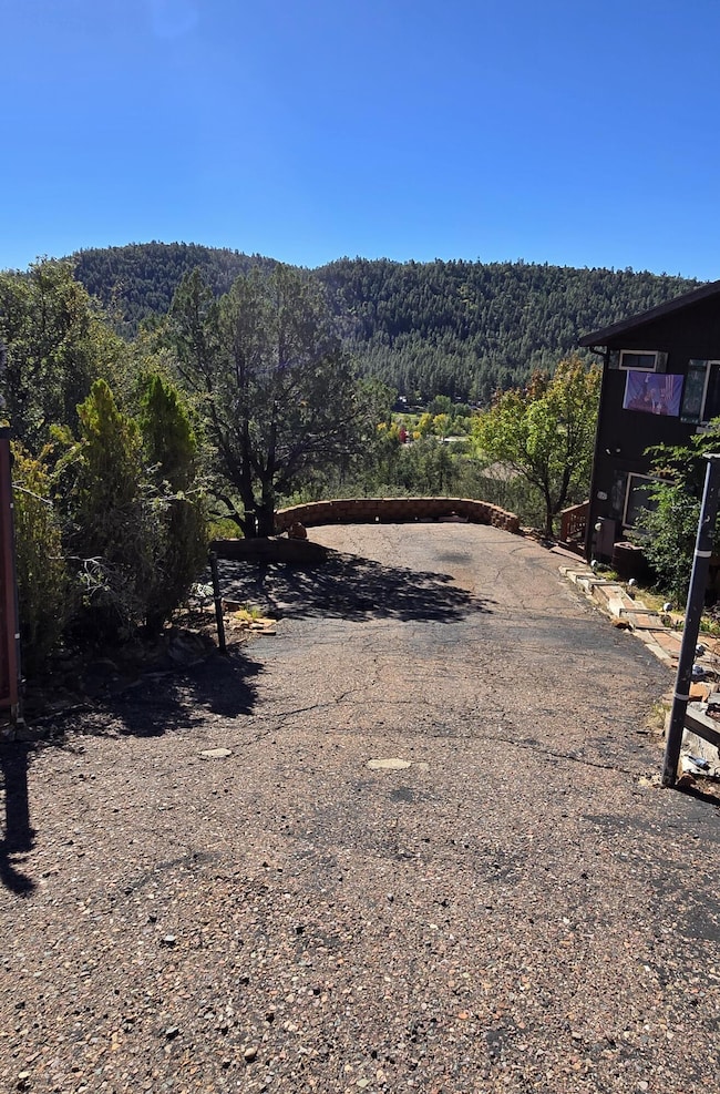 9619 W Coyote Dr, Pine, AZ 85544 - photo 6