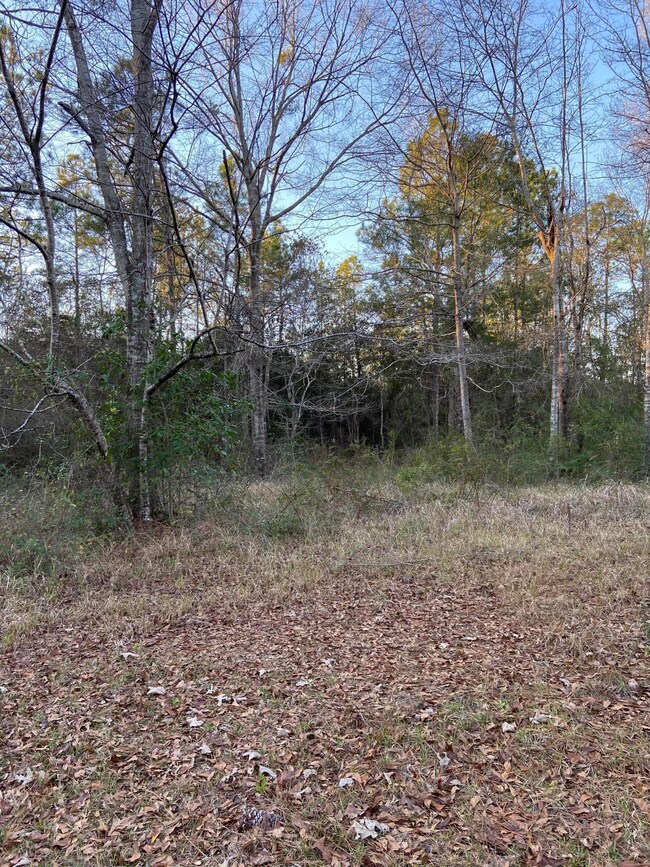 old hwy 49