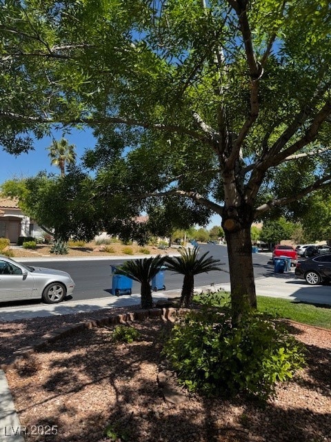 View of  front yard