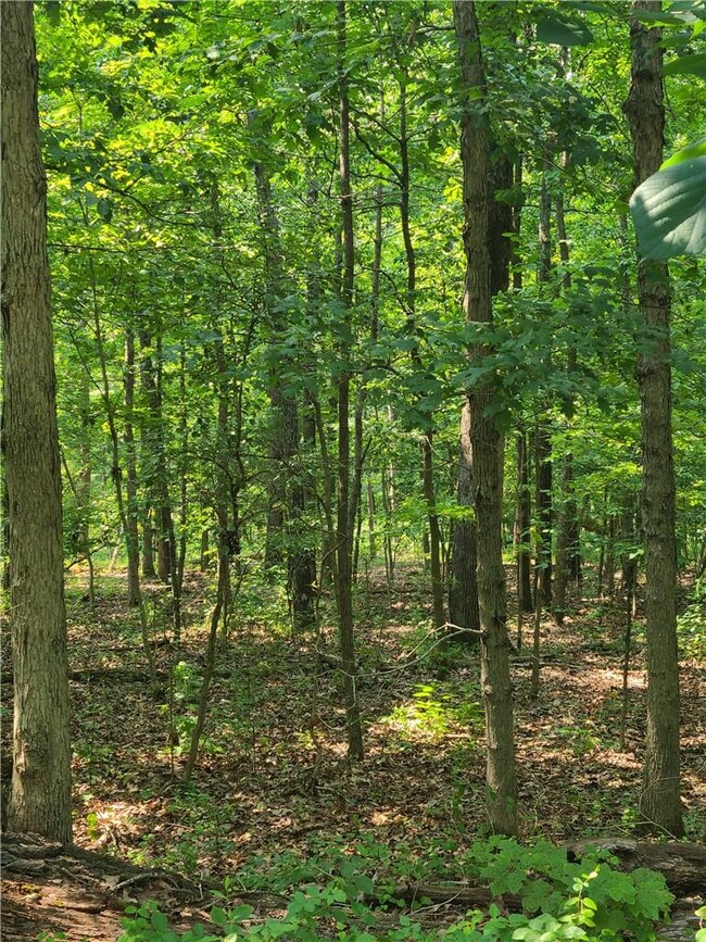 3 Chatburn Cir unit 1192138, Bella Vista, AR 72715 - photo 2