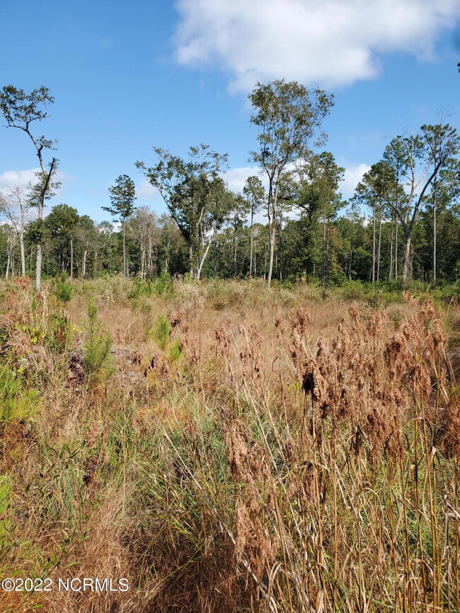 Lot 5-6 Barbeque NW, Ocean Isle Beach, NC 28469 - photo 7