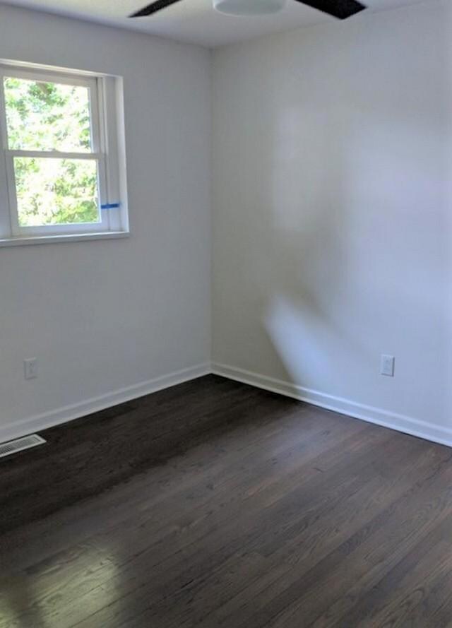 Photo #7