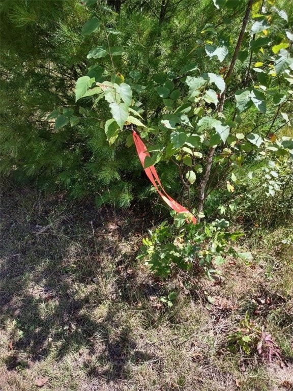 Northwest corner flagged