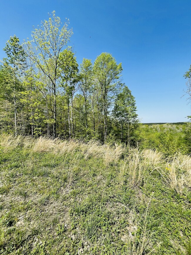 0 Saddlebrook Dr, Hohenwald, TN 38462 - photo 3