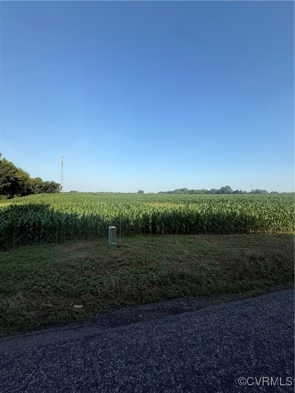 View of yard featuring agricultural area and a rur