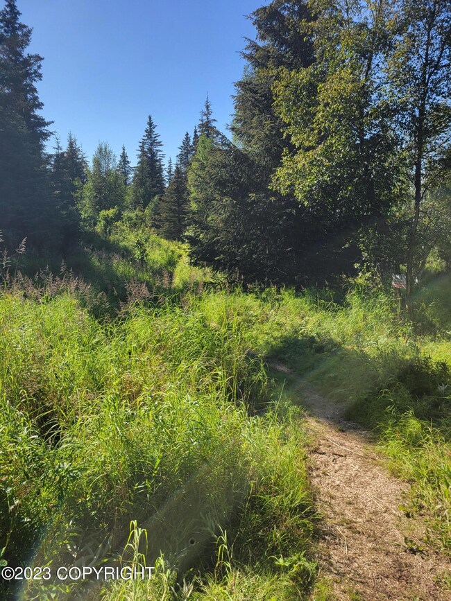 Tr 12 Tomski Ave, Anchor Point, AK 99556 - photo 3