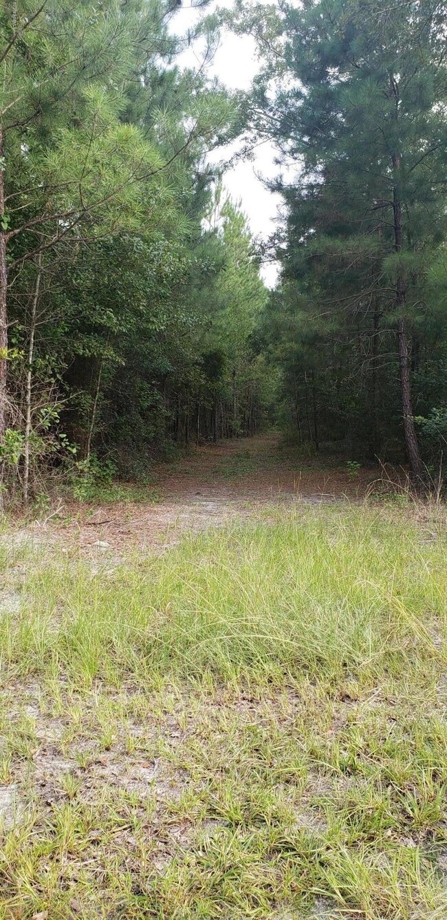 davidson tower rd pic 4
