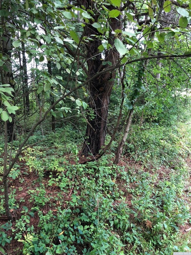 13 - C Sleepy Hollow Rd, Coxsackie, NY 12051 - photo 5