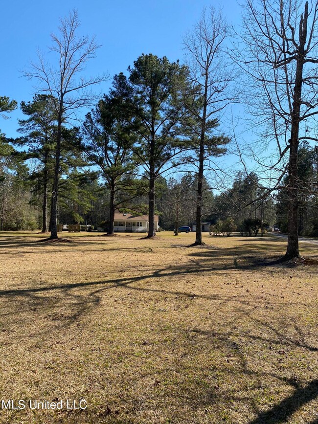 front yard